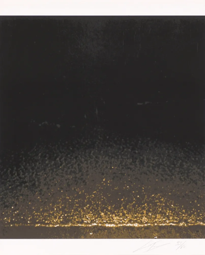 Siebdruck Tuymans - Shore