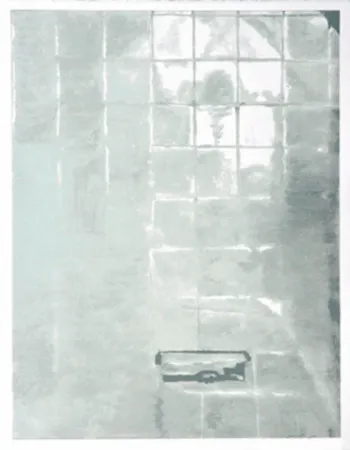 Siebdruck Tuymans - Tiles