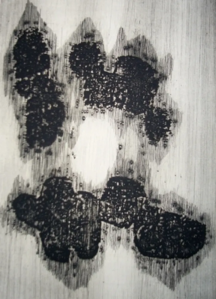 Illustriertes Buch Ubac - Lisière du devenir