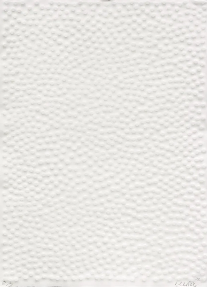 Multiple Uecker - Graphein II, Shang Dynastie