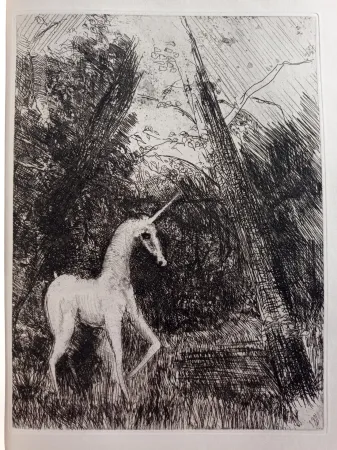 Radierung Unknown - Bestiaire avec 14 eaux-fortes de Pedro Zamorano de Biedma Kerdyk, René (Pedro Zamorano de Biedma) (Léon-Paul Fargue)