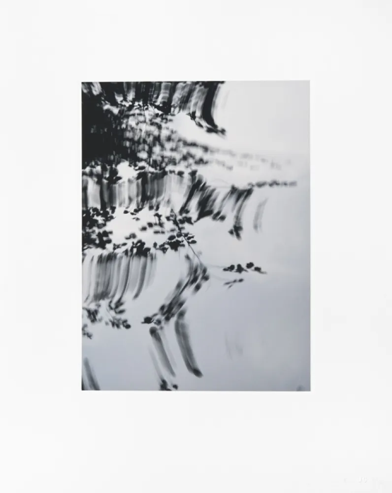 Digitale Druckgrafik Usle - Pisuena