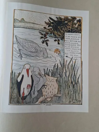 Illustriertes Buch Van Hoytema - Het leelijke jonge Eendje