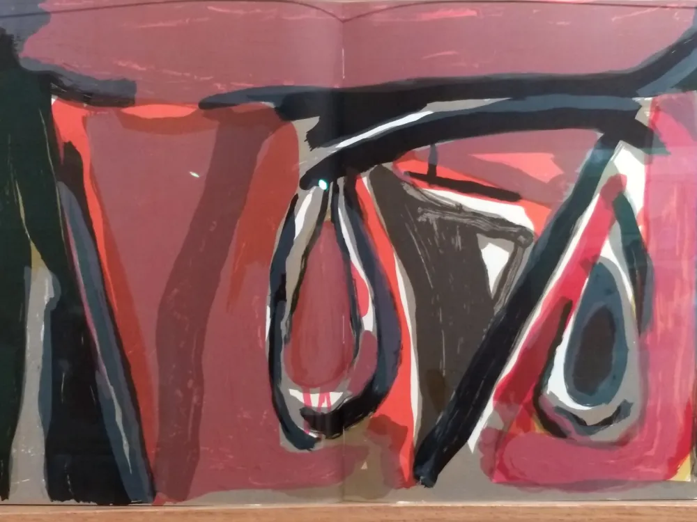 Illustriertes Buch Van Velde - DLM 250