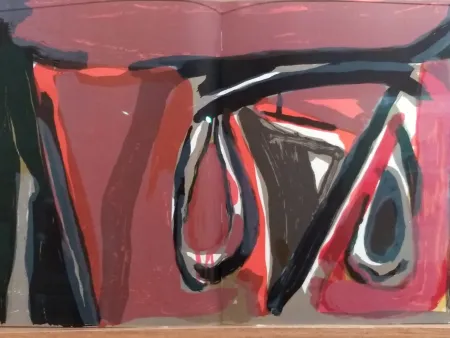 Illustriertes Buch Van Velde - DLM 250