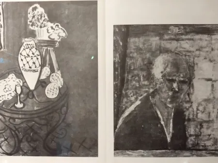 Illustriertes Buch Van Velde - DLM no1