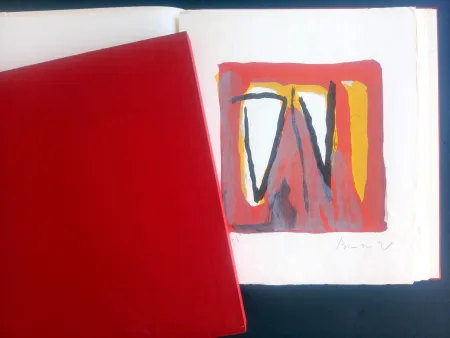 Illustriertes Buch Van Velde - LA NUIT QUI OSE DIRE SON NOM