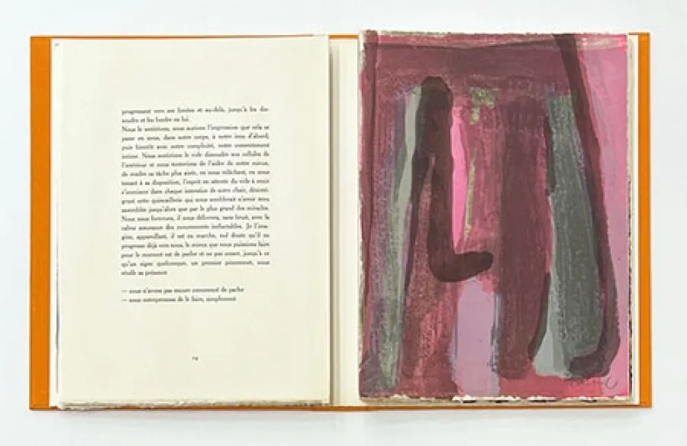 Illustriertes Buch Van Velde - L'Envers