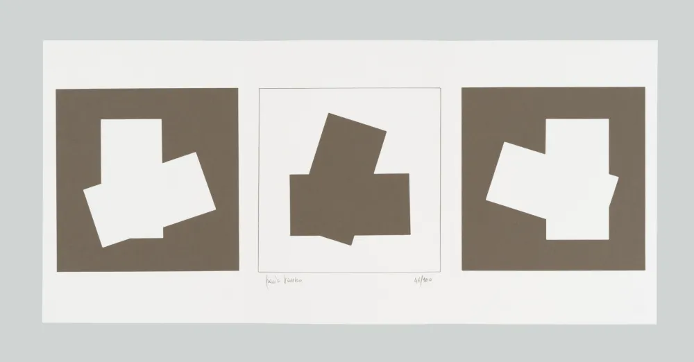 Siebdruck Varisco - Composizione