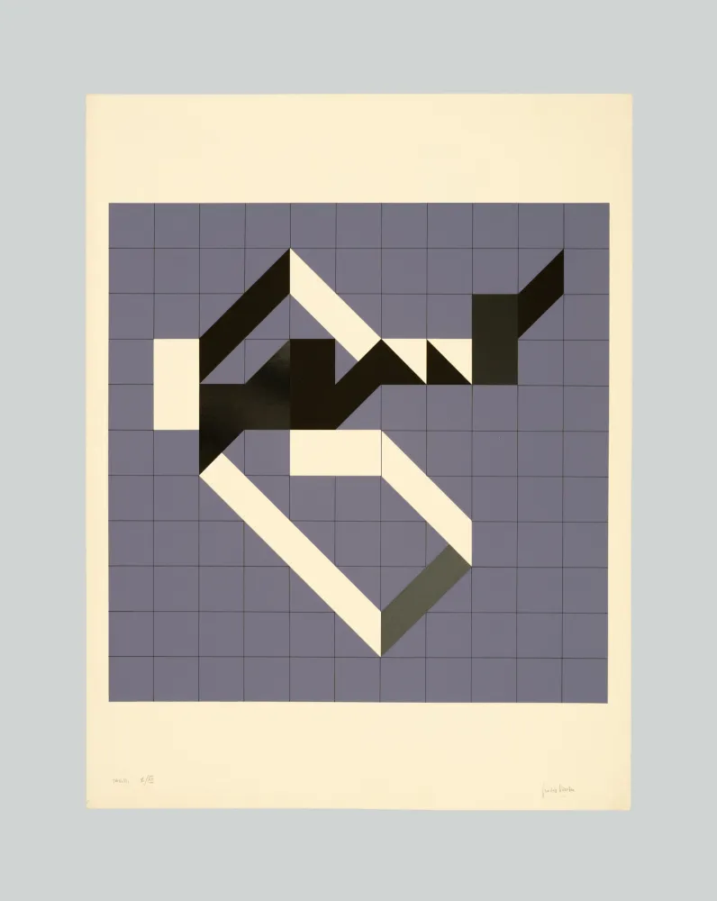 Siebdruck Varisco - Random walks (Tav. B)