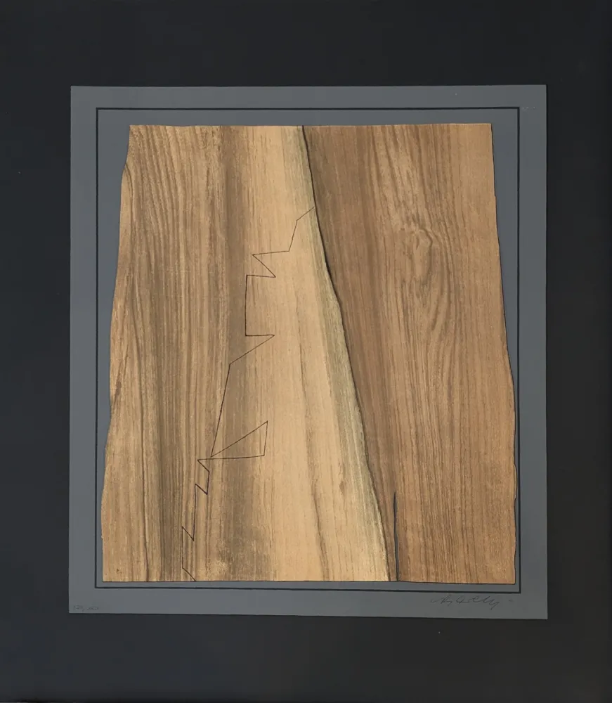 Lithographie Vasarely - Gordes Nives 