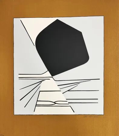 Siebdruck Vasarely - Latorça