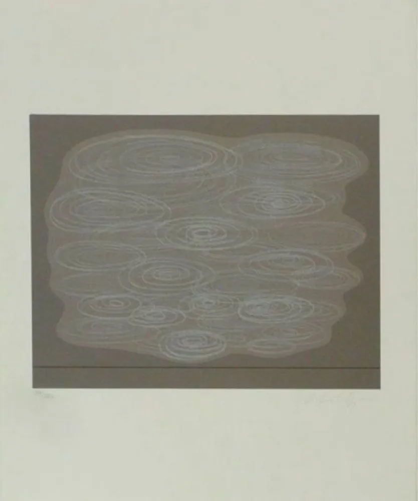 Siebdruck Vasarely - Locmaria