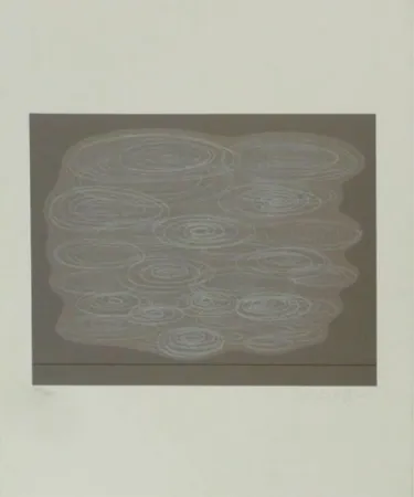 Siebdruck Vasarely - Locmaria