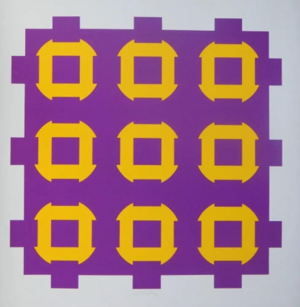 Siebdruck Vasarely - Procion C