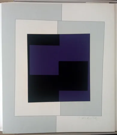 Siebdruck Vasarely - Zara (Cristal)