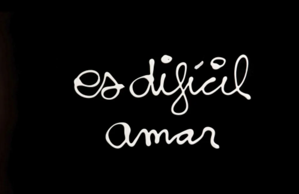 Siebdruck Vautier - Es difícil amar