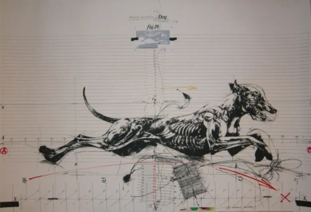 Lithographie Velickovic - Animals in motion