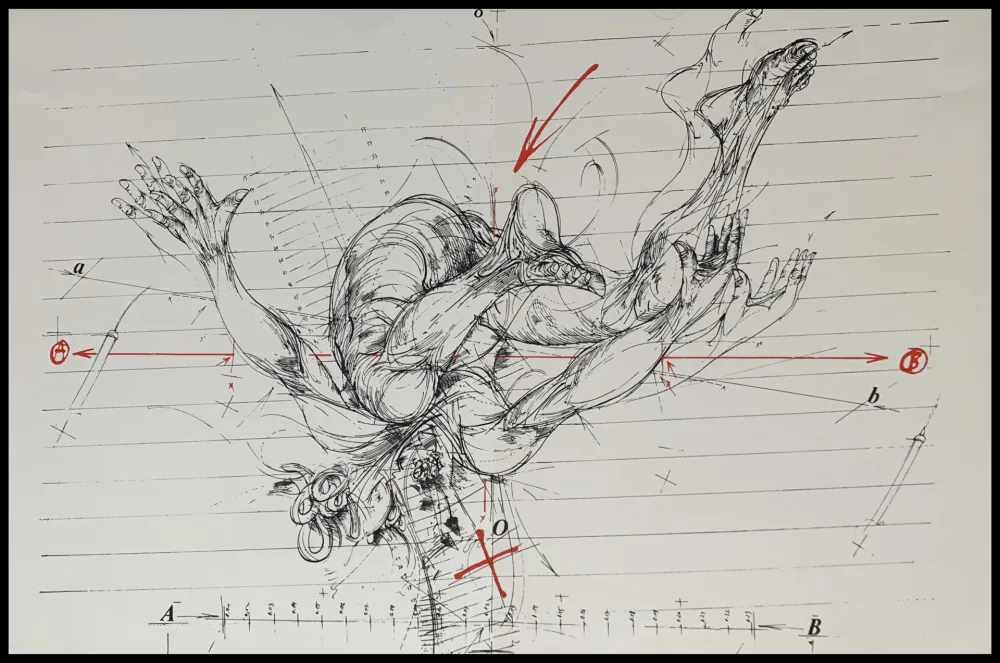 Siebdruck Velickovic - La chute