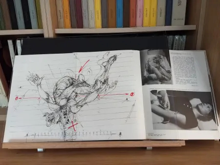 Illustriertes Buch Velickovic - No 44