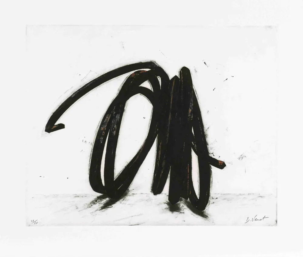 Radierung Venet - Indeterminate line II