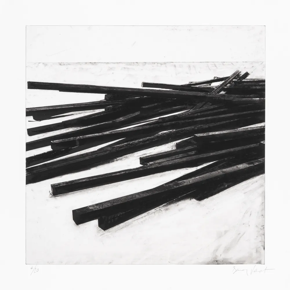 Siebdruck Venet - Lignes droites / désordre 03