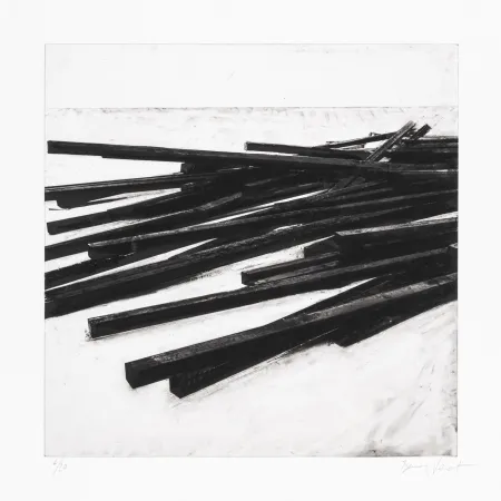 Siebdruck Venet - Lignes droites / désordre 03