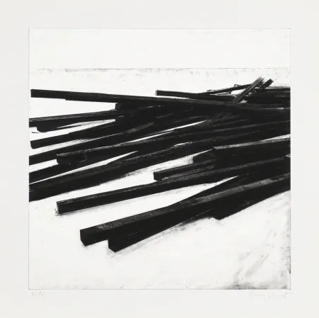 Siebdruck Venet - Lignes droites / désordre 03