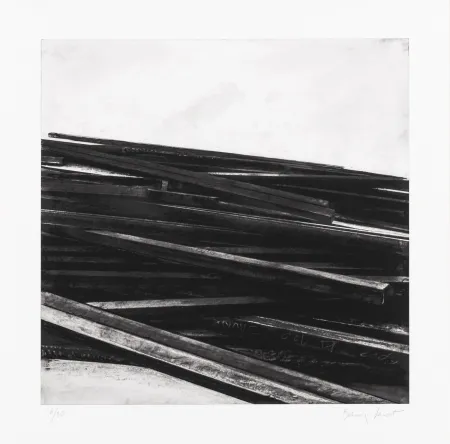 Siebdruck Venet - Lignes droites / désordre 04