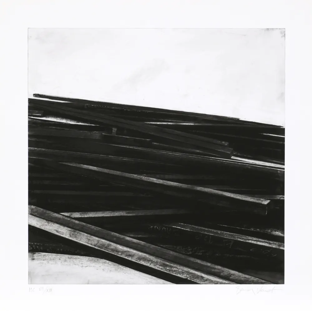 Siebdruck Venet - Lignes droites / désordre 04