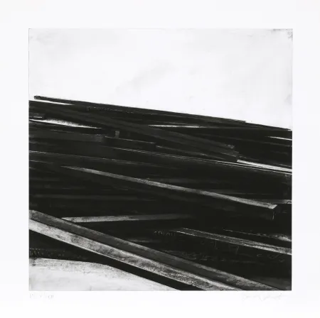 Siebdruck Venet - Lignes droites / désordre 04