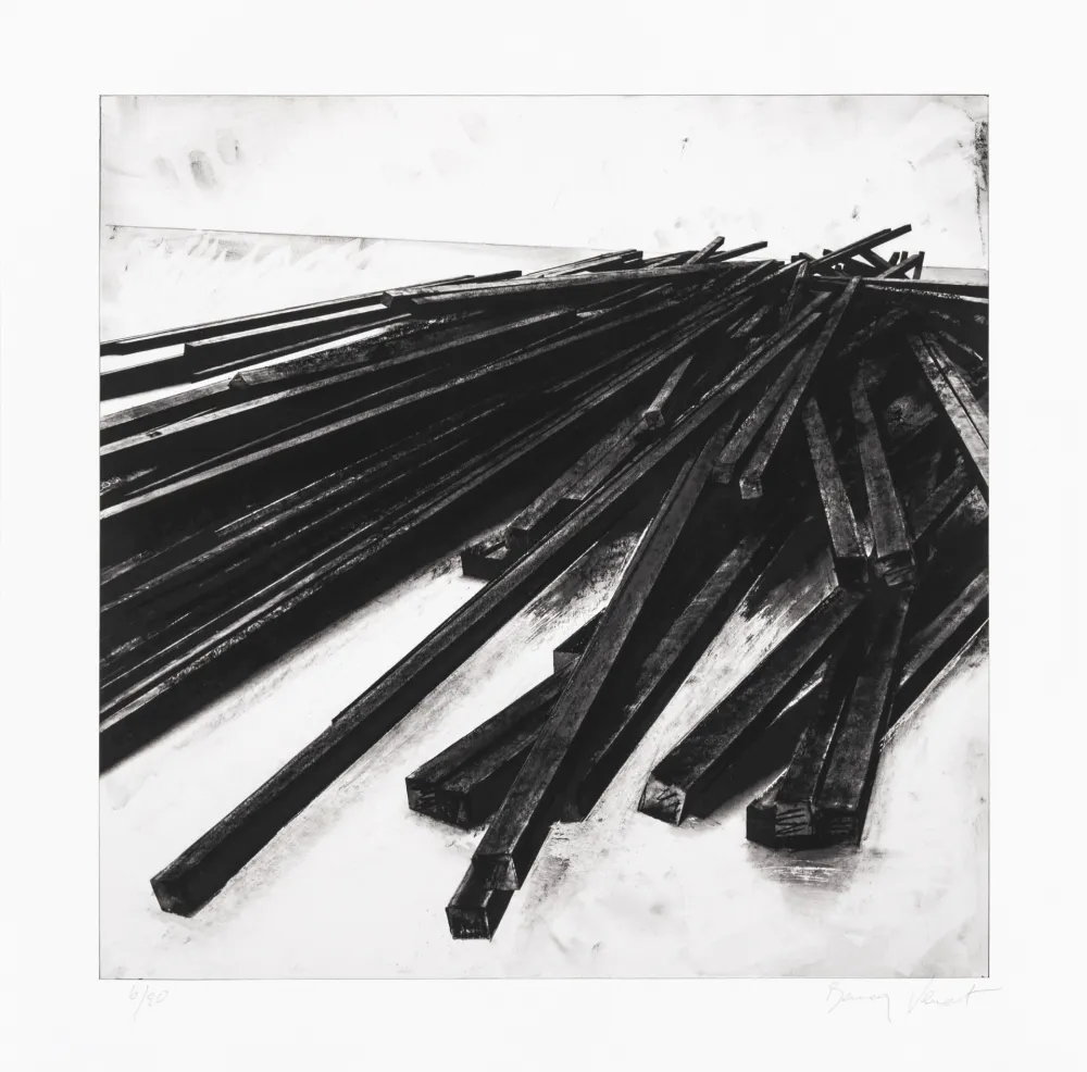 Siebdruck Venet - Lignes droites / désordre 05