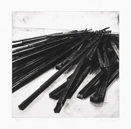 Siebdruck Venet - Lignes droites / désordre 05