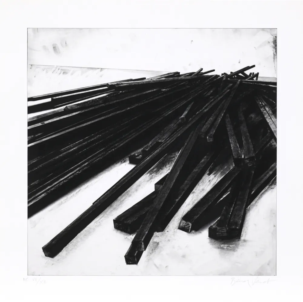 Siebdruck Venet - Lignes droites / désordre 05