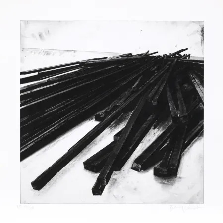 Siebdruck Venet - Lignes droites / désordre 05