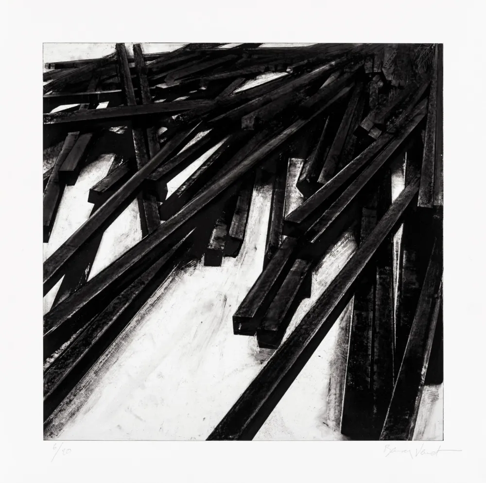 Siebdruck Venet - Lignes droites / désordre 06