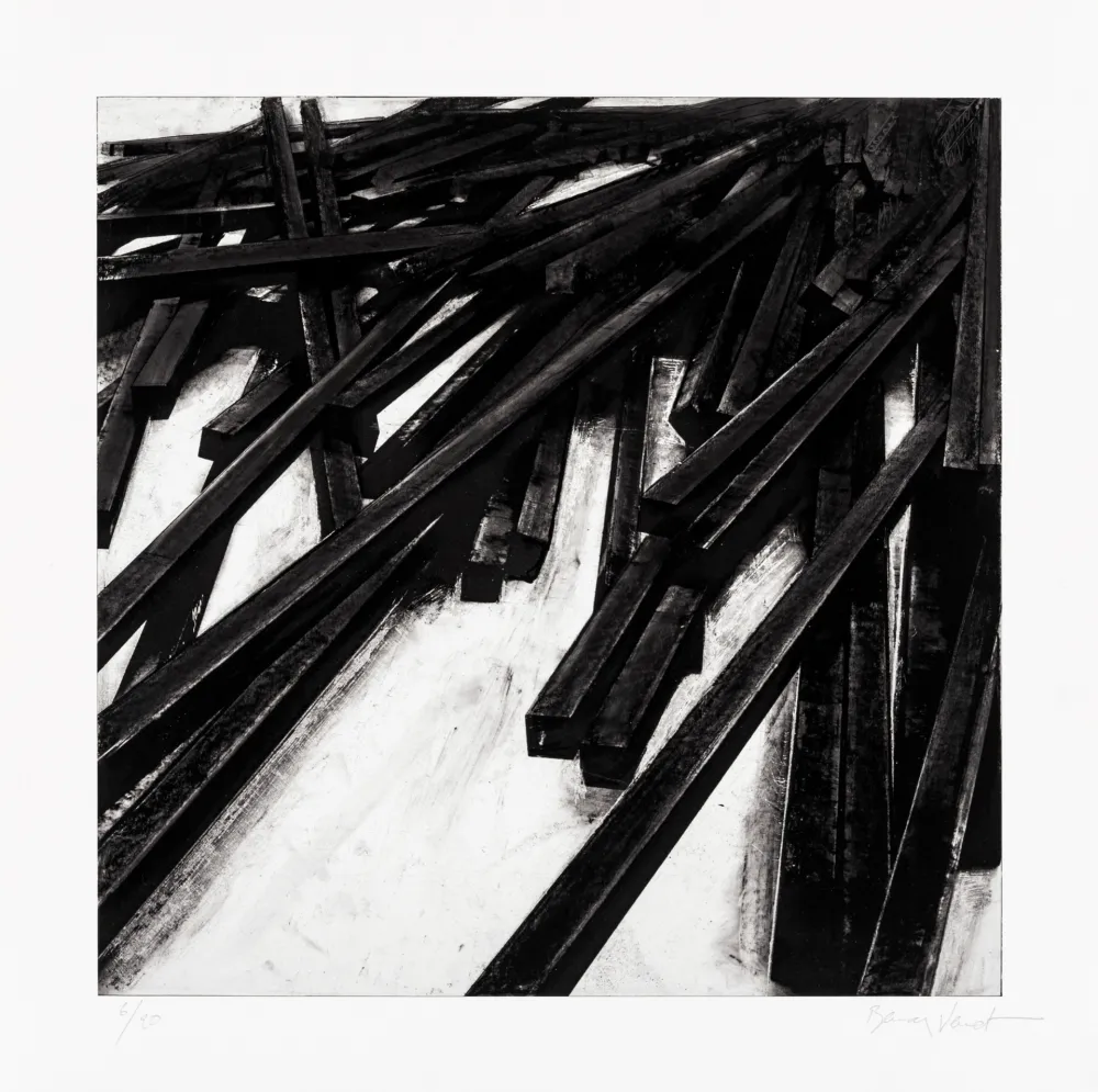 Siebdruck Venet - Lignes droites / désordre 06