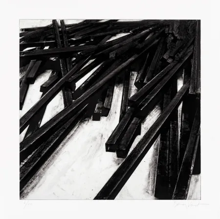 Siebdruck Venet - Lignes droites / désordre 06