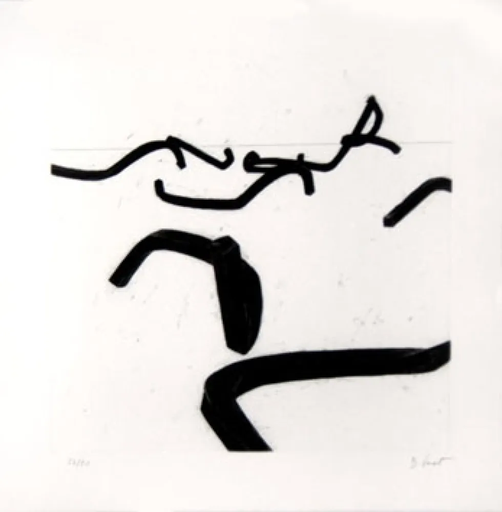 Stich Venet - LIGNES INDETERMINEES