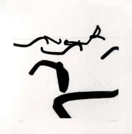 Stich Venet - LIGNES INDETERMINEES