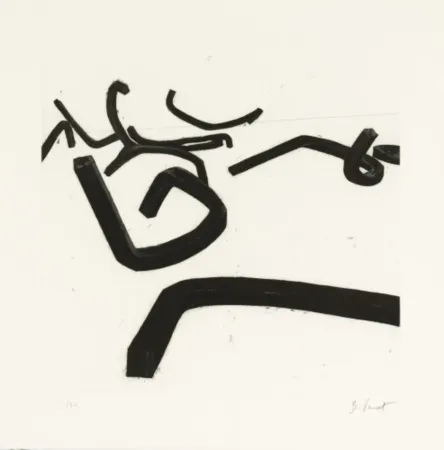 Radierung Und Aquatinta Venet - Random Combination of Indeterminate Lines II, c