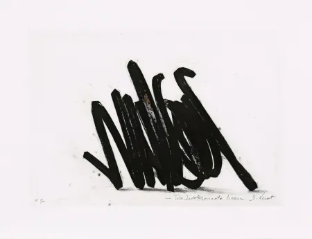 Radierung Venet - Two indeterminate lines 02