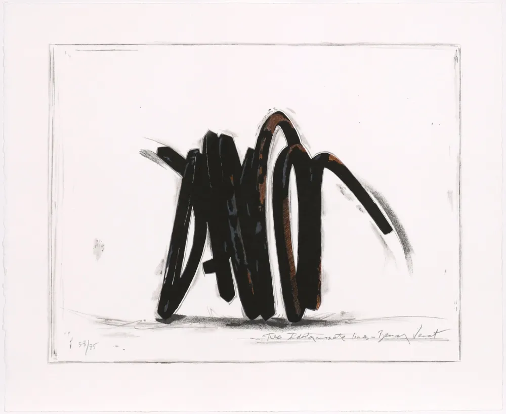 Siebdruck Venet - Two indeterminate lines