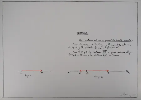 Siebdruck Venet - Un Vecteur