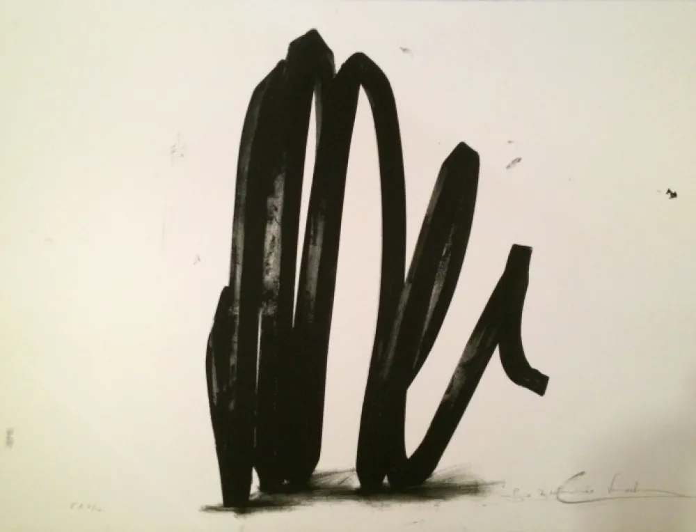 Siebdruck Venet - Undetermined Line