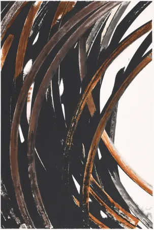 Siebdruck Venet - Untitled V (Arcs)