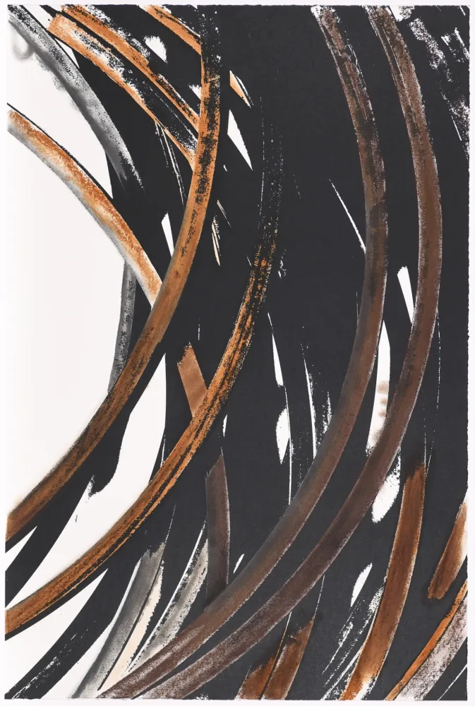 Siebdruck Venet - Untitled V bis (Arcs)