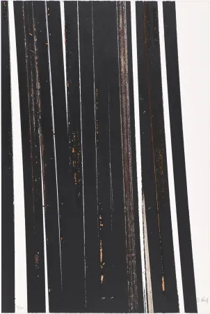 Siebdruck Venet - Untitled X (Lignes droites)