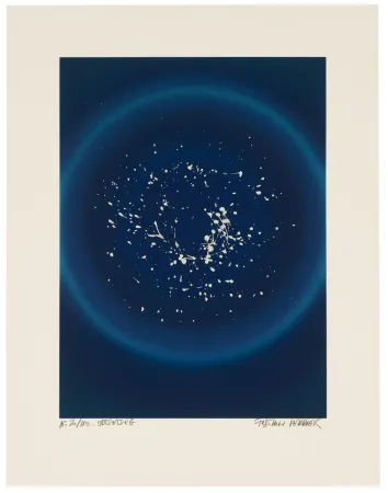 Siebdruck Verdier - Odtsetseg