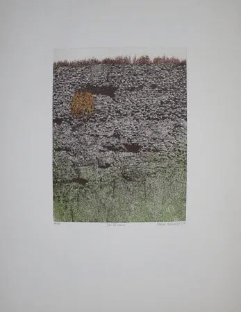 Radierung Und Aquatinta Vernunft - Fiori le mura